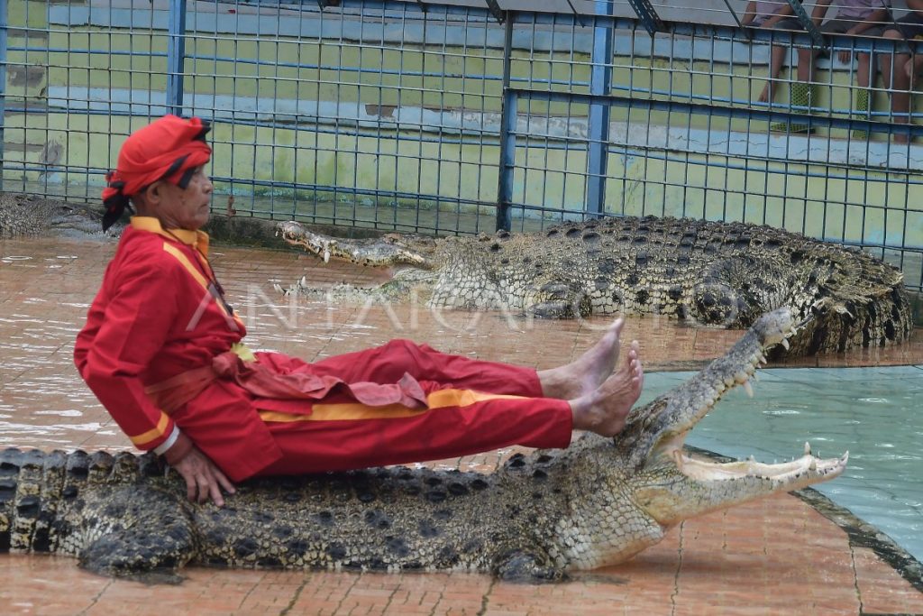 https://img.antarafoto.com/cache/1200x800/2022/12/25/wisata-atraksi-pawang-buaya-di-serang-baru-13mo3-dom.jpg